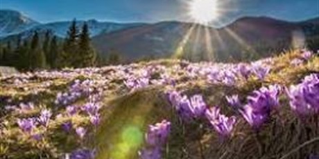 "Pierwszy Dzień Wiosny"